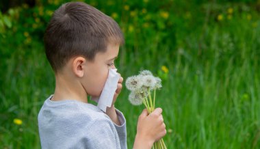 Çocuğun alerjisi var. Karahindiba üflüyor. Mevsimsel alerjiler. Burun akışı, sprey ve doku.