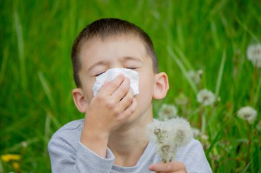 Çocuğun alerjisi var. Karahindiba üflüyor. Mevsimsel alerjiler. Burun akışı, sprey ve doku.