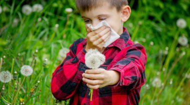 Çocuğun alerjisi var. Bir karahindiba üflüyor. Mevsimsel alerjiler. Burun akışı, sprey ve doku.