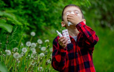Çocuğun alerjisi var. Bir karahindiba üflüyor. Mevsimsel alerjiler. Burun akışı, sprey ve doku.