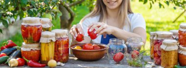 Bahçede Domatesleri ve Sebzeleri Koruyan Kadın.