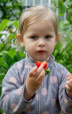 Küçük kız bahçede olgun çilek yiyor. Seçici odak.