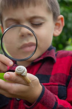 Çocuk büyüteçten salyangoza bakıyor, araştırmacı. Seçici odak.