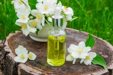 Cam şişede yasemin yağı ve yasemin çiçekleri. Yağlar