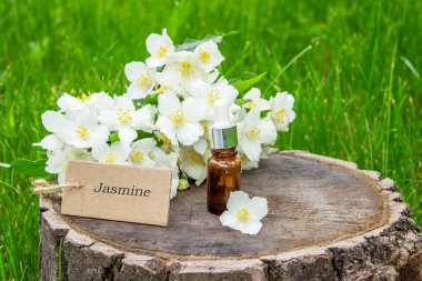 Cam şişede yasemin yağı ve yasemin çiçekleri. Yağlar