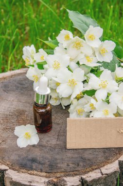 Cam şişede yasemin yağı ve yasemin çiçekleri. Yağlar