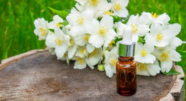 Cam şişede yasemin yağı ve yasemin çiçekleri. Yağlar