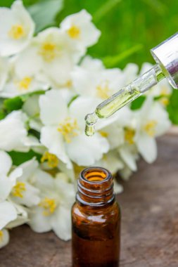 Cam şişede yasemin yağı ve yasemin çiçekleri. Yağlar