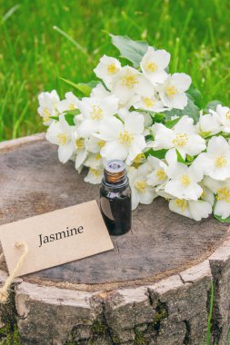 Cam şişede yasemin yağı ve yasemin çiçekleri. Yağlar