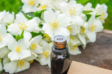 Cam şişede yasemin yağı ve yasemin çiçekleri. Yağlar