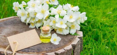 Cam şişede yasemin yağı ve yasemin çiçekleri. Yağlar