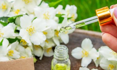 Cam şişede yasemin yağı ve yasemin çiçekleri. Yağlar