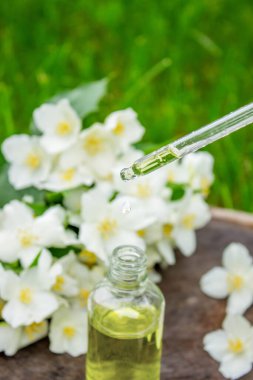 Cam şişede yasemin yağı ve yasemin çiçekleri. Yağlar