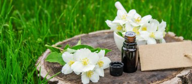 Cam şişede yasemin yağı ve yasemin çiçekleri. Yağlar