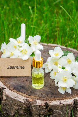Cam şişede yasemin yağı ve yasemin çiçekleri. Yağlar
