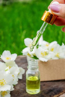 Cam şişede yasemin yağı ve yasemin çiçekleri. Yağlar