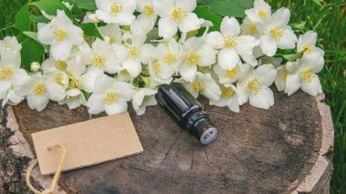 Cam şişede yasemin yağı ve yasemin çiçekleri. Yağlar