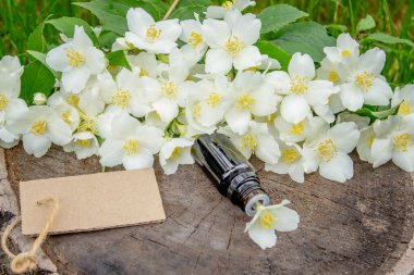 Cam şişede yasemin yağı ve yasemin çiçekleri. Yağlar