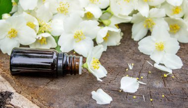 Cam şişede yasemin yağı ve yasemin çiçekleri. Yağlar