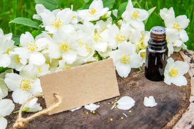 Cam şişede yasemin yağı ve yasemin çiçekleri. Yağlar