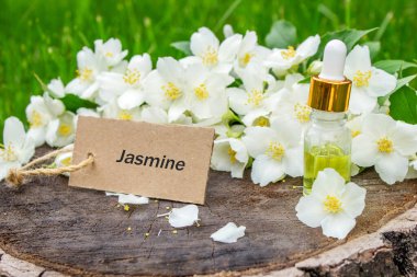 Cam şişede yasemin yağı ve yasemin çiçekleri. Yağlar