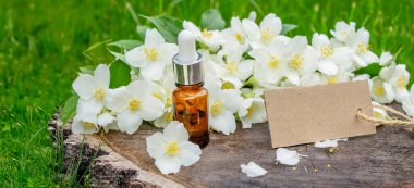 Cam şişede yasemin yağı ve yasemin çiçekleri. Yağlar