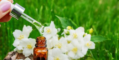 Cam şişede yasemin yağı ve yasemin çiçekleri. Yağlar