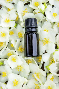 Cam şişede yasemin yağı ve yasemin çiçekleri. Yağlar