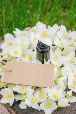 Cam şişede yasemin yağı ve yasemin çiçekleri. Yağlar