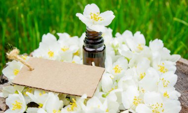 Cam şişede yasemin yağı ve yasemin çiçekleri. Yağlar