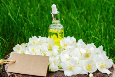 Cam şişede yasemin yağı ve yasemin çiçekleri. Yağlar