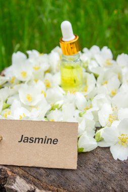 Cam şişede yasemin yağı ve yasemin çiçekleri. Yağlar