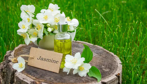 Cam şişede yasemin yağı ve yasemin çiçekleri. Yağlar
