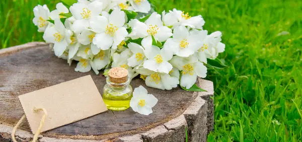 Cam şişede yasemin yağı ve yasemin çiçekleri. Yağlar
