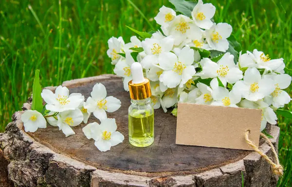 Cam şişede yasemin yağı ve yasemin çiçekleri. Yağlar