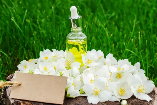 Cam şişede yasemin yağı ve yasemin çiçekleri. Yağlar