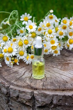 Papatya esaslı taze çiçekli yağ şişesi..