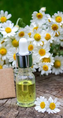 Papatya esaslı taze çiçekli yağ şişesi..