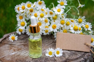 Papatya esaslı taze çiçekli yağ şişesi..