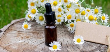 Papatya esaslı taze çiçekli yağ şişesi..