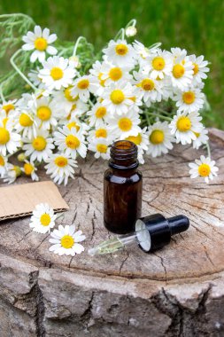 Papatya esaslı taze çiçekli yağ şişesi..