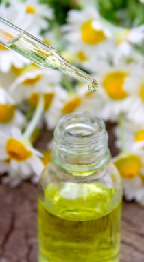 Taze çiçekli Papatya Yağı Düşürücü.