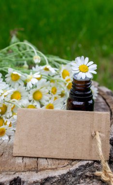 Papatya esaslı taze çiçekli yağ şişesi..