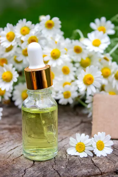 Papatya esaslı taze çiçekli yağ şişesi..