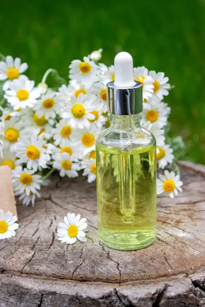 Papatya esaslı taze çiçekli yağ şişesi..