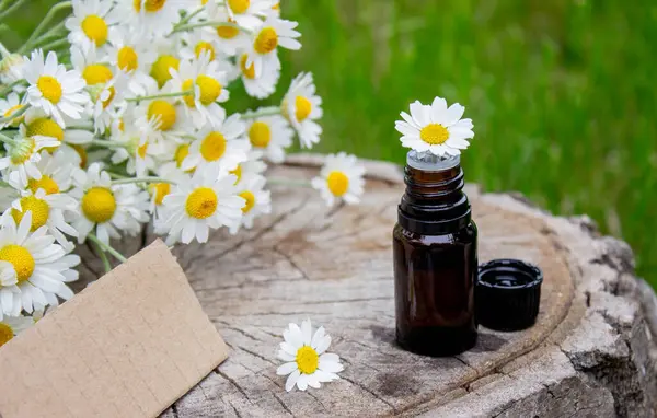 Papatya esaslı taze çiçekli yağ şişesi..