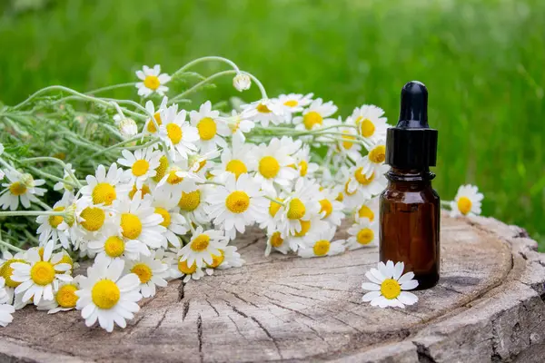 Papatya esaslı taze çiçekli yağ şişesi..