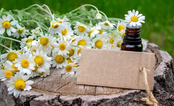 Papatya esaslı taze çiçekli yağ şişesi..