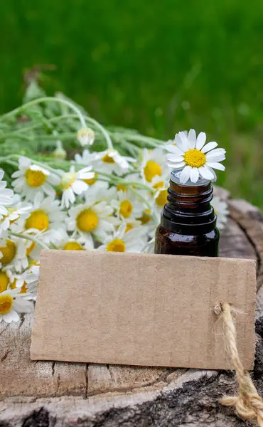 Papatya esaslı taze çiçekli yağ şişesi..