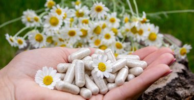 Çiçekli Ellerde Bitkisel Papatya Kapsülleri.